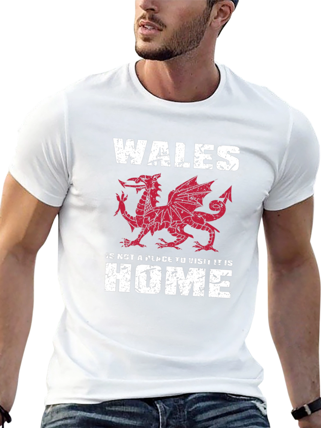 Wales Dragon Graphic T-Shirt - Welsh Pride Tee