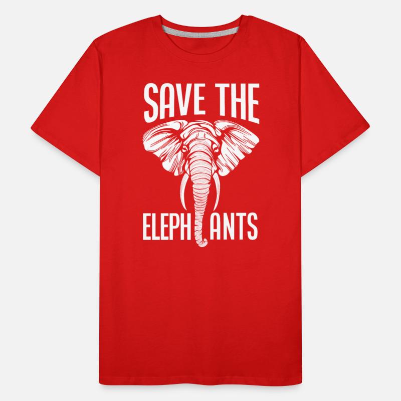 Elephant Animal Welfare