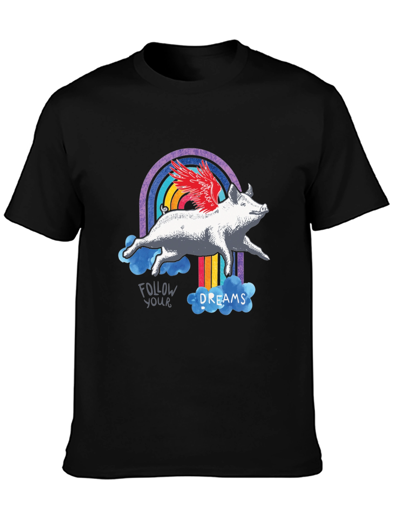 Flying Pig Rainbow Graphic T-Shirt