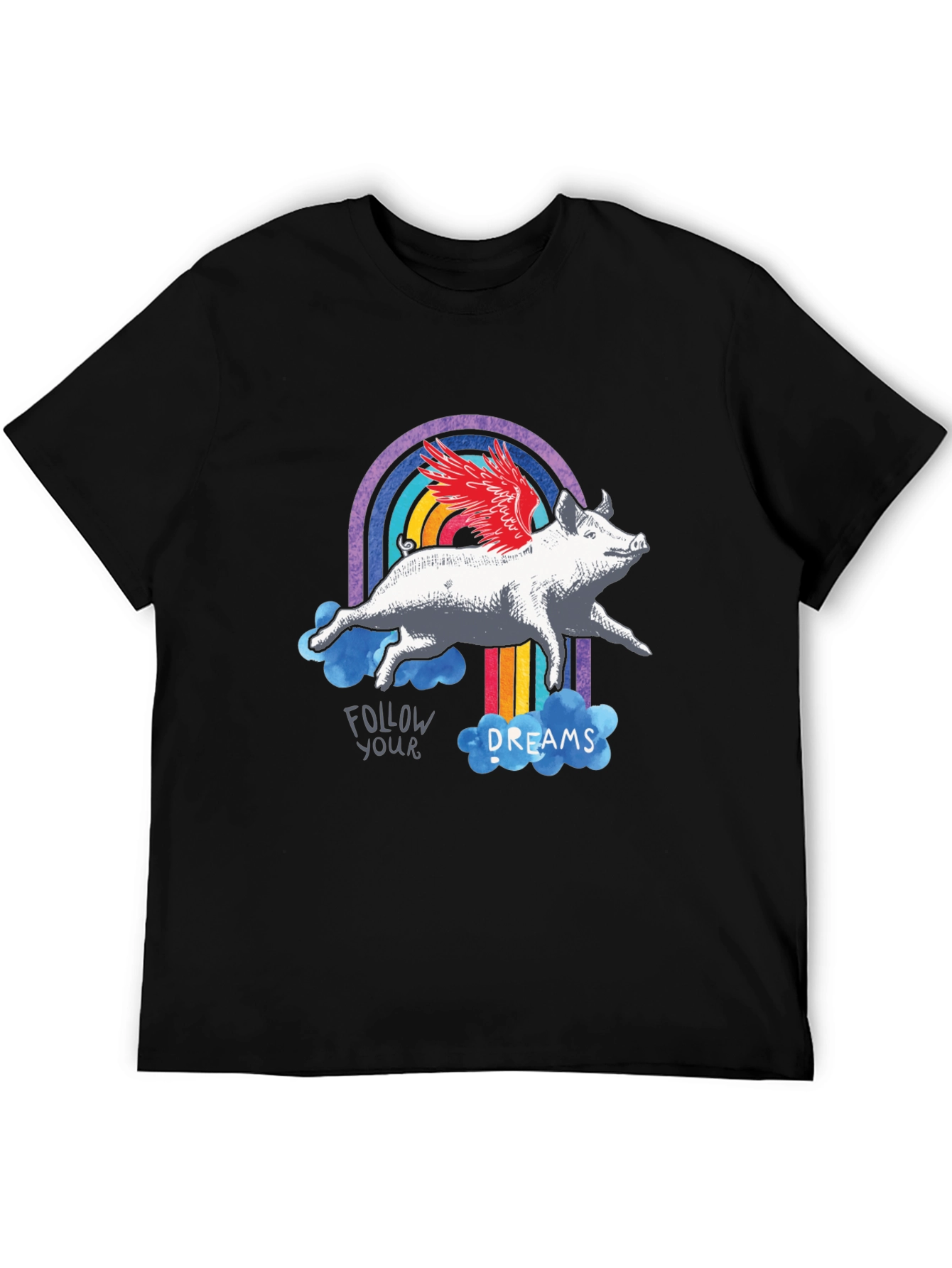 Flying Pig Rainbow Graphic T-Shirt