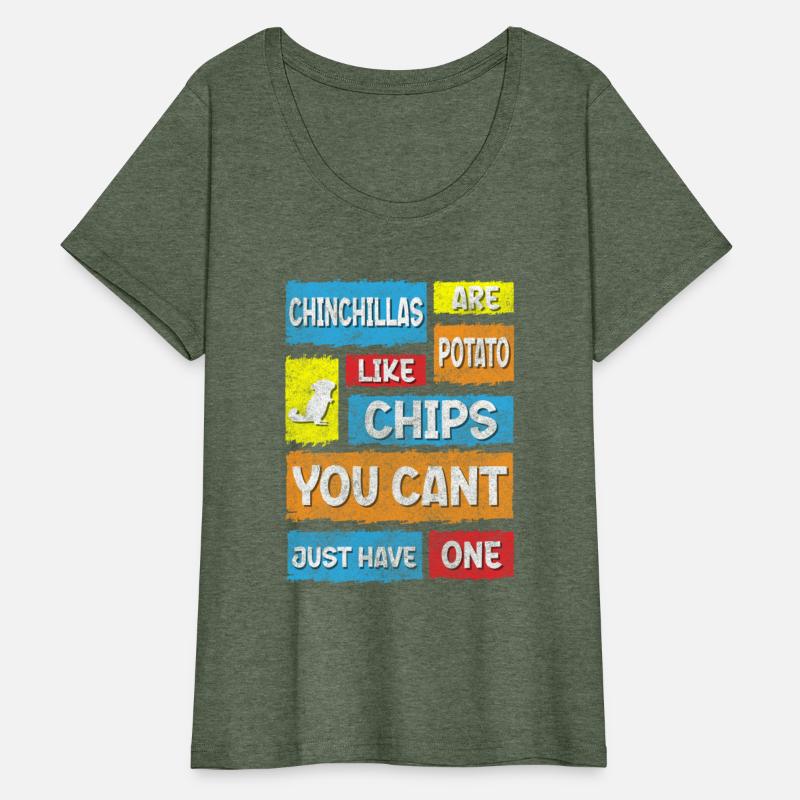 Chinchilla Animal Animal Lover Cuddly