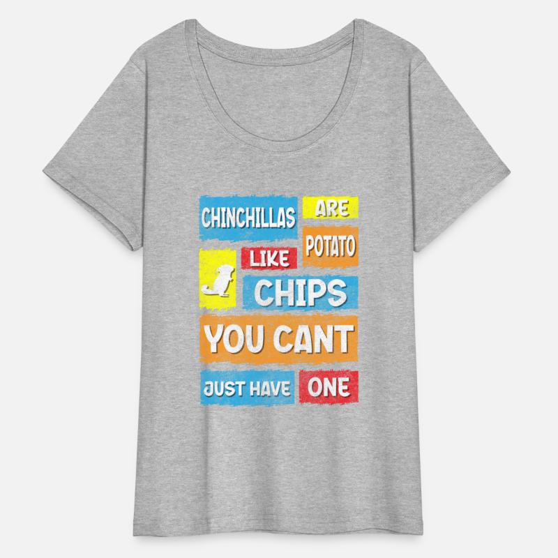 Chinchilla Animal Animal Lover Cuddly