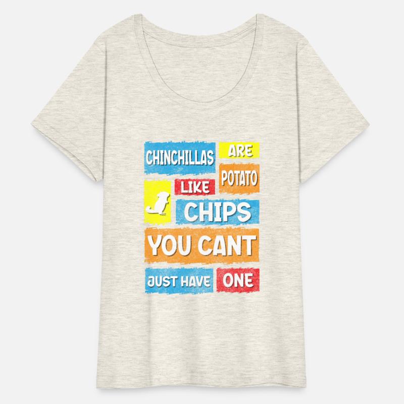 Chinchilla Animal Animal Lover Cuddly