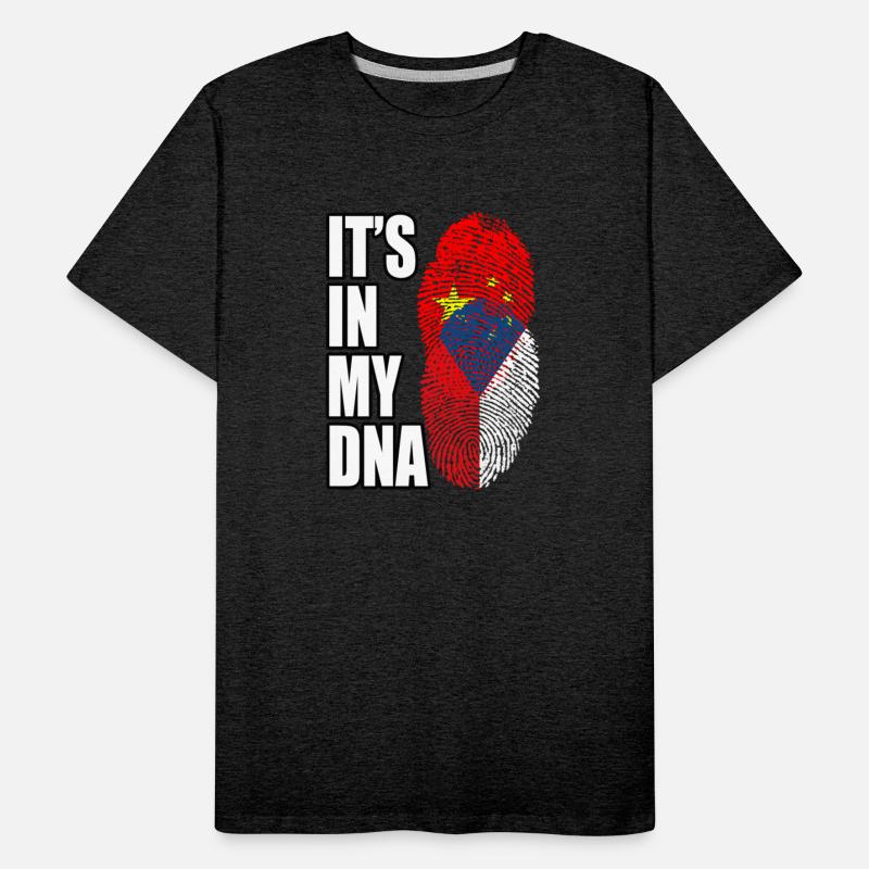 Czech And Chinese Mix Heritage DNA Flag