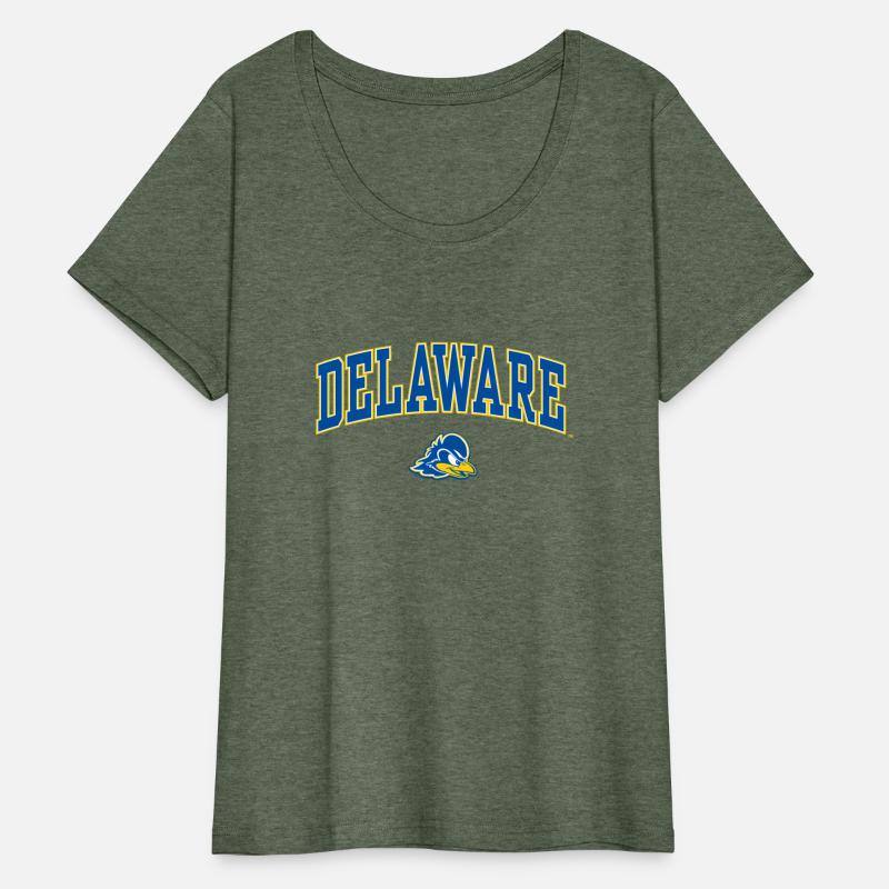 Delaware Fightin' Blue Hens Arch Over