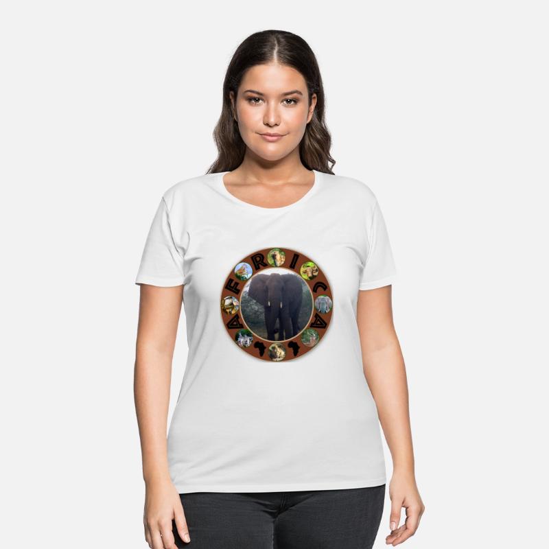 elephant in the mist africa circle