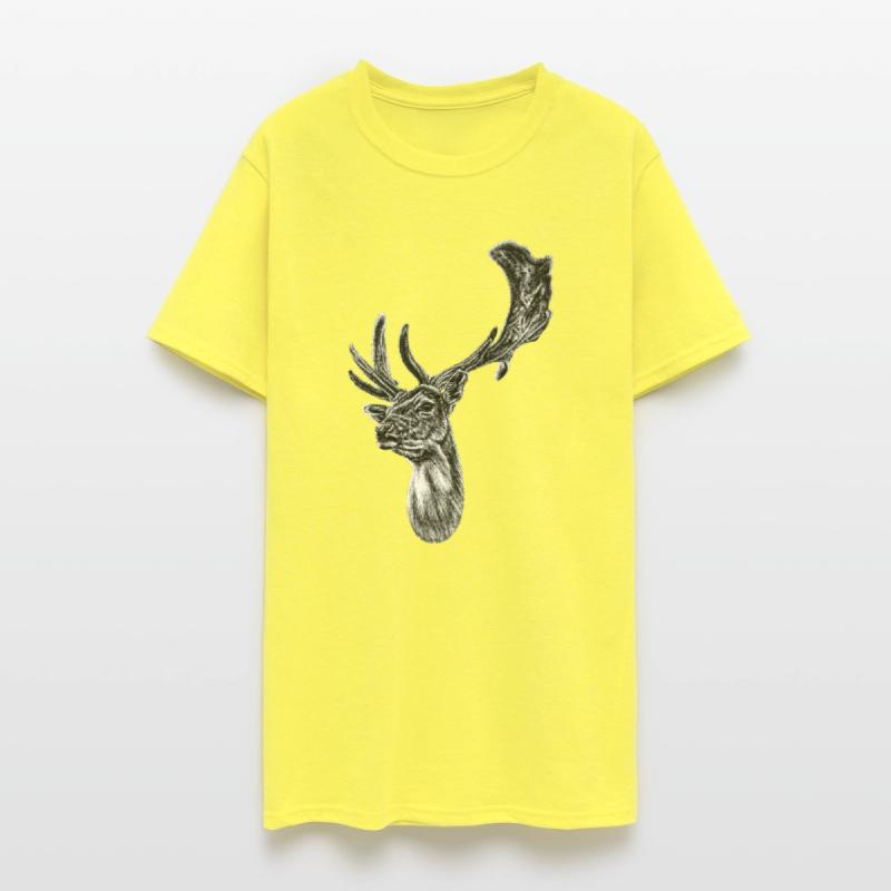 Fallow deer stag