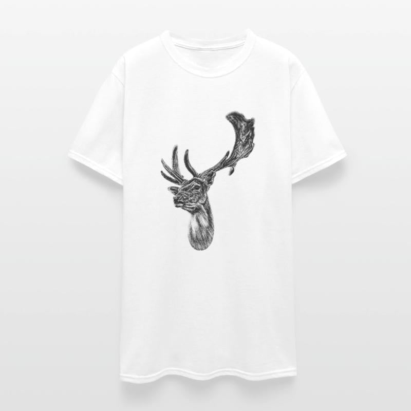 Fallow deer stag