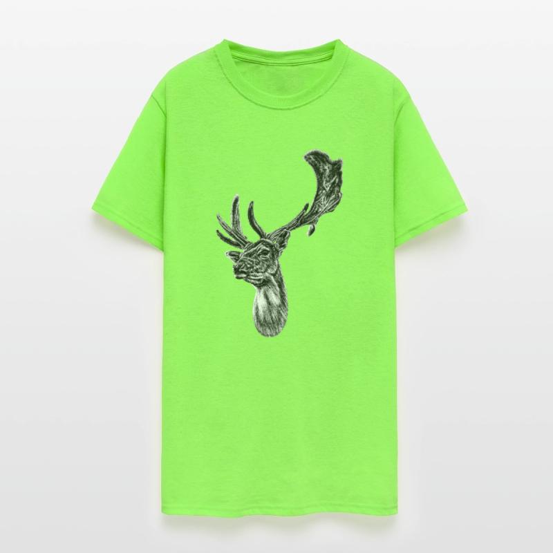 Fallow deer stag