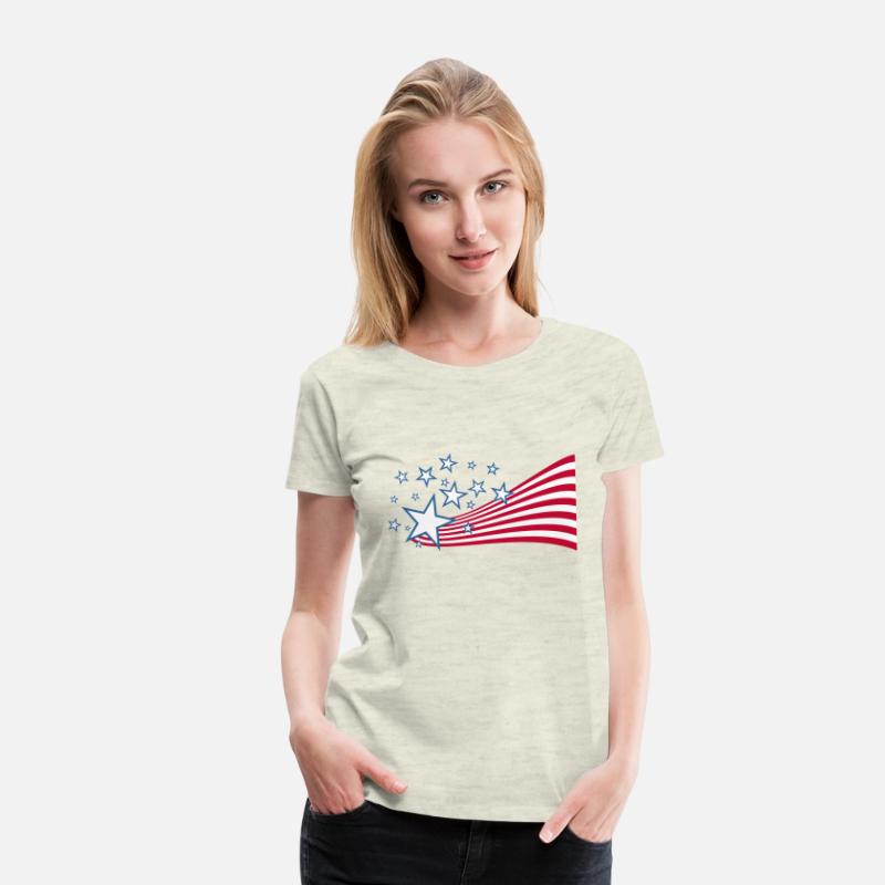 Flag of the United States Vector