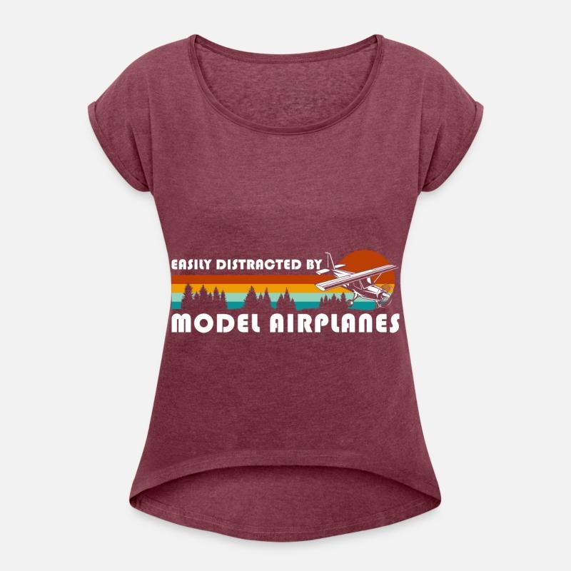 Model Flight Airplane Model