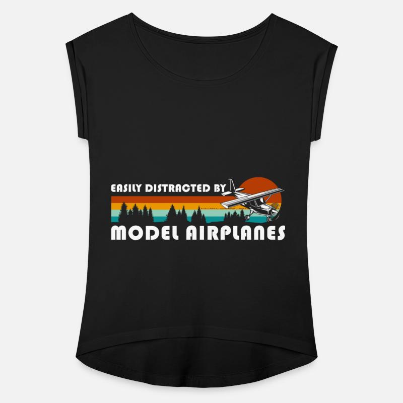 Model Flight Airplane Model