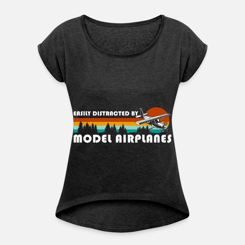 Model Flight Airplane Model