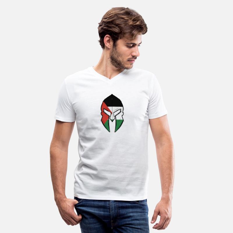 Palestine flag in Spartan warrior Helmet