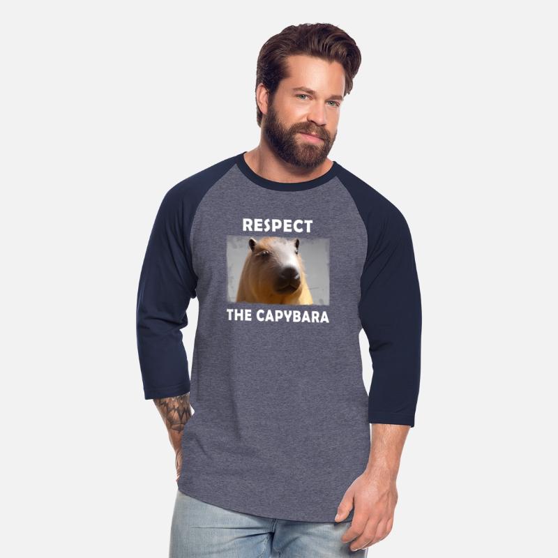 Rect The Capybara Rodent Animal