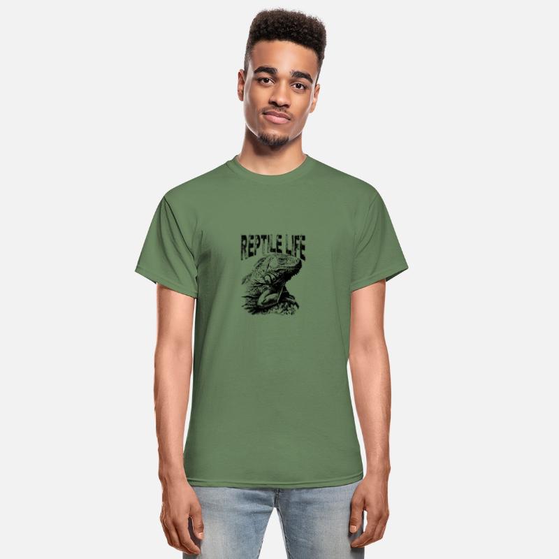 Sarcastic Looking Iguana