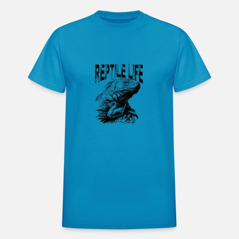 Sarcastic Looking Iguana