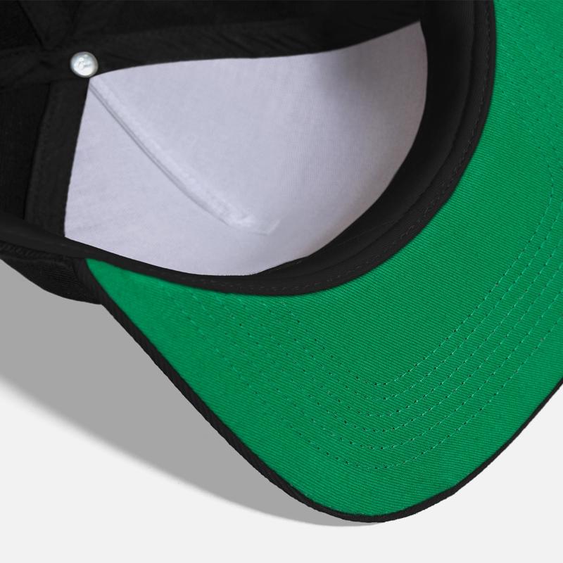 Shorthaired Domestic Cat With Color Spots