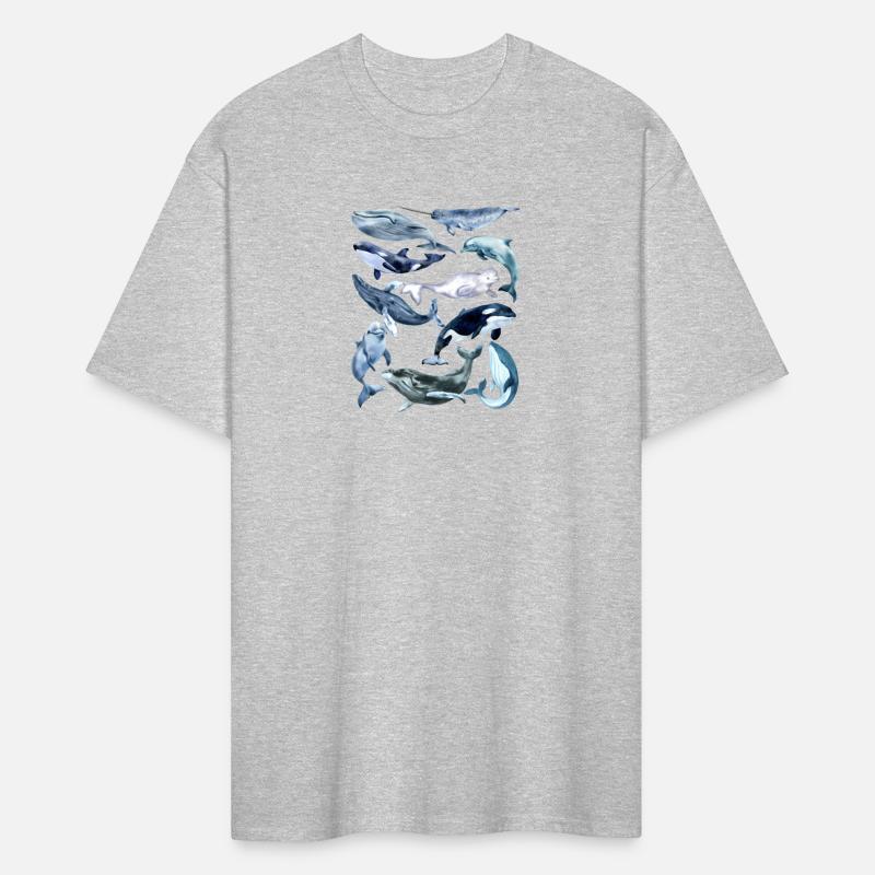 Types Of Whales Ch Ocean Animals Mammals Guide